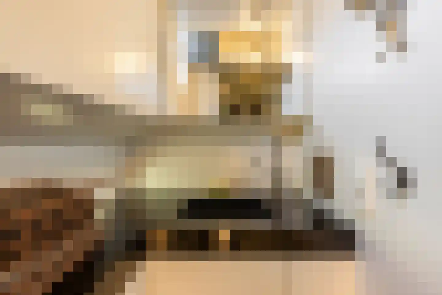 Praediniussingel 1004 Groningen thumbnail 25