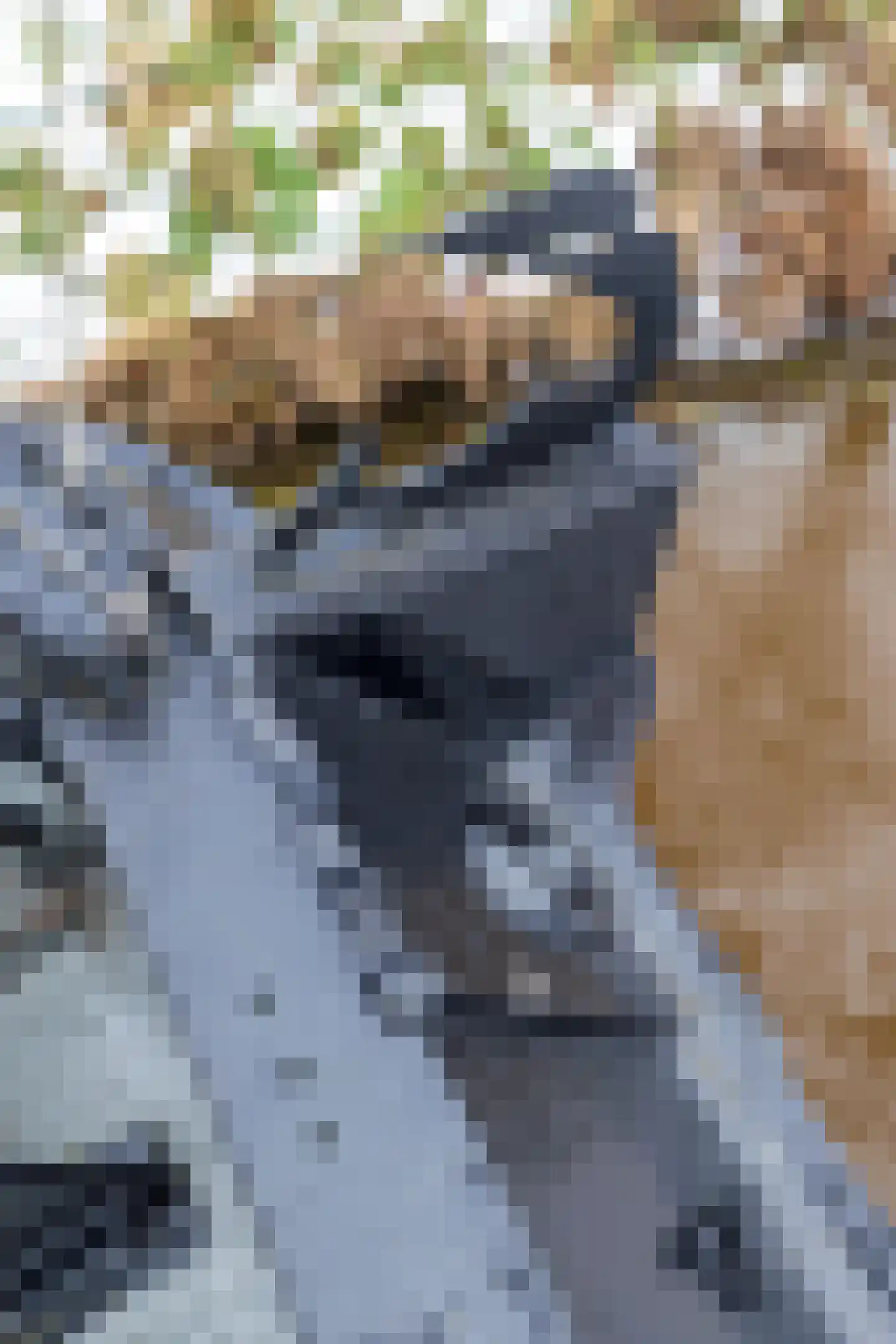 Praediniussingel 1004 Groningen thumbnail 31