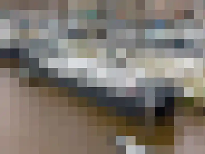 Praediniussingel 1004 Groningen thumbnail 6