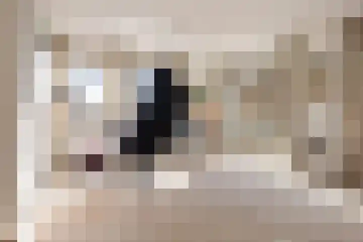 Praediniussingel 20 2 Groningen thumbnail 19