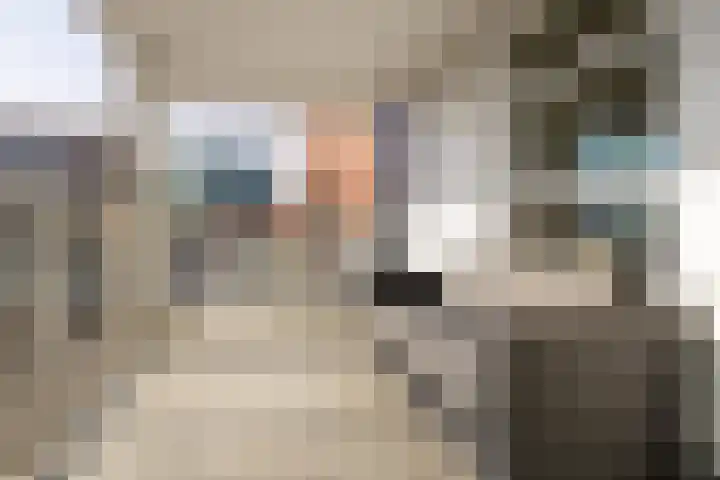 Praediniussingel 20 2 Groningen thumbnail 20