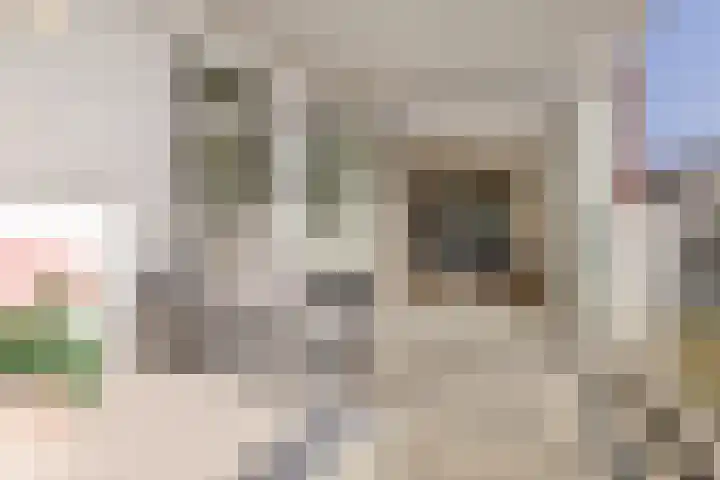 Praediniussingel 20 2 Groningen thumbnail 21
