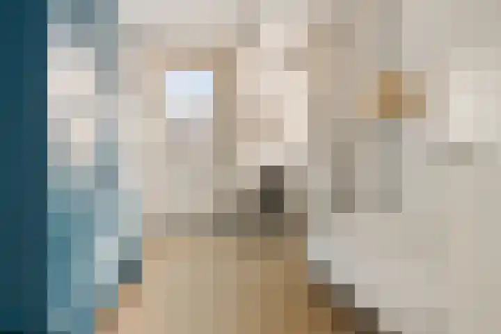 Praediniussingel 20 2 Groningen thumbnail 32