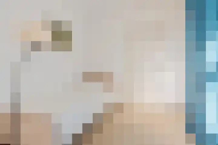 Praediniussingel 20 2 Groningen thumbnail 33