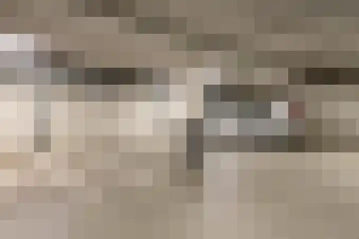 Praediniussingel 20 2 Groningen thumbnail 37