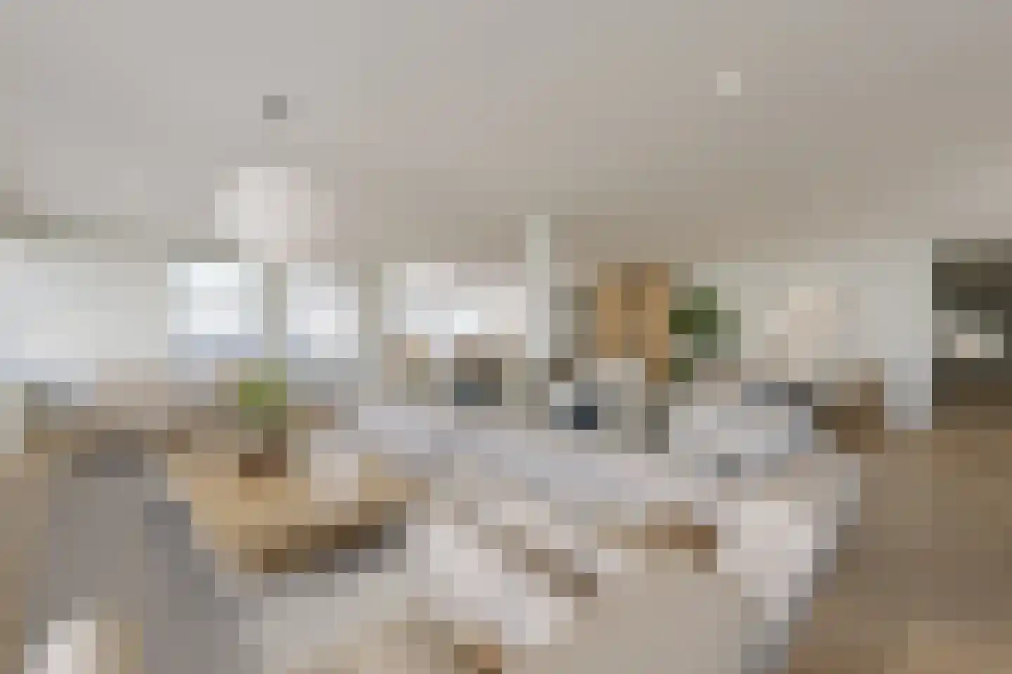 Praediniussingel 20 24 Groningen thumbnail 16