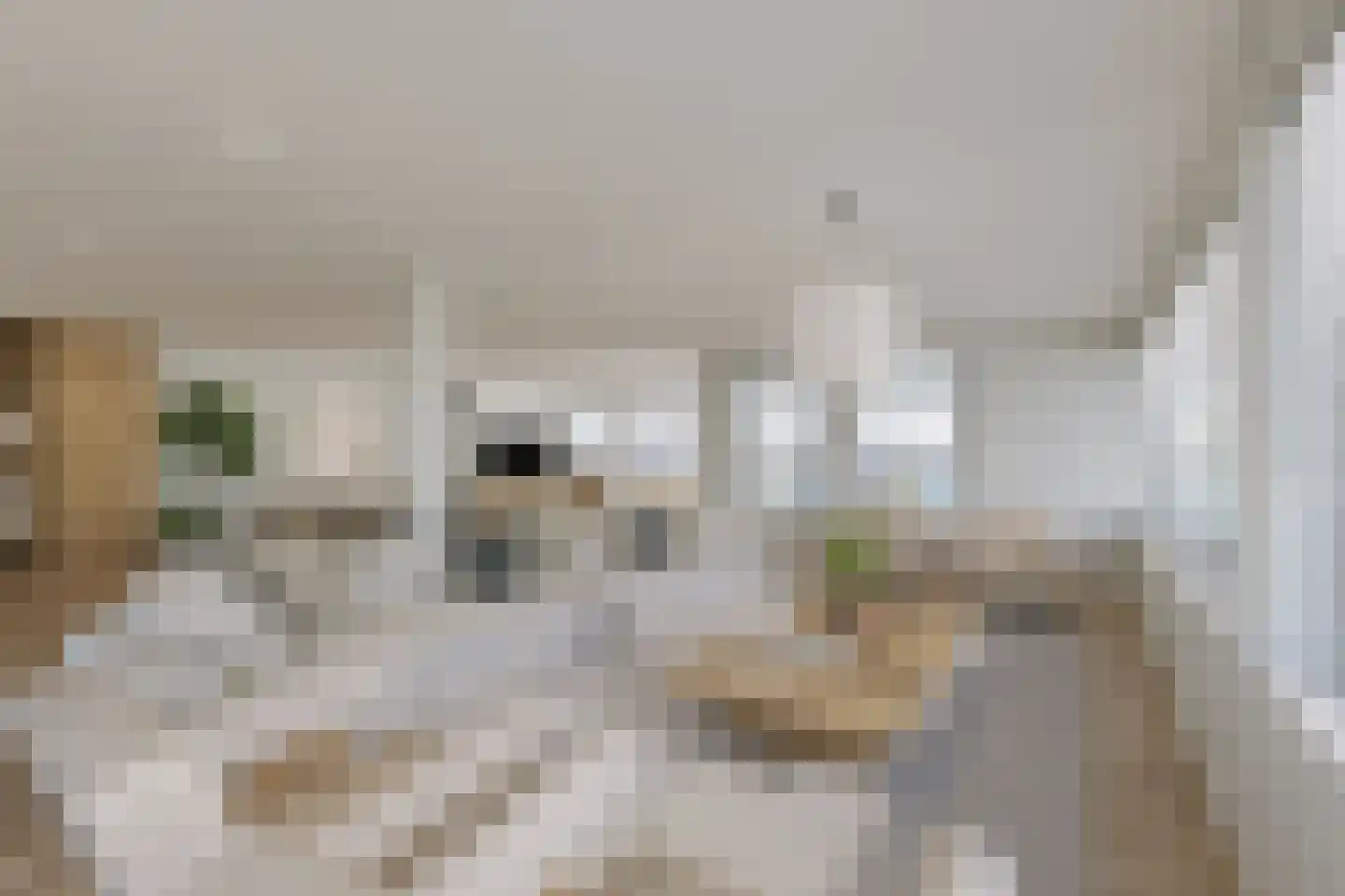Praediniussingel 20 24 Groningen thumbnail 18