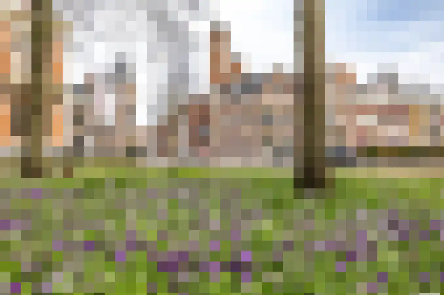 Praediniussingel 20 24 Groningen thumbnail 66