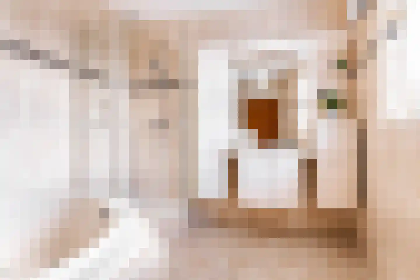 Praediniussingel 20 5 Groningen thumbnail 28