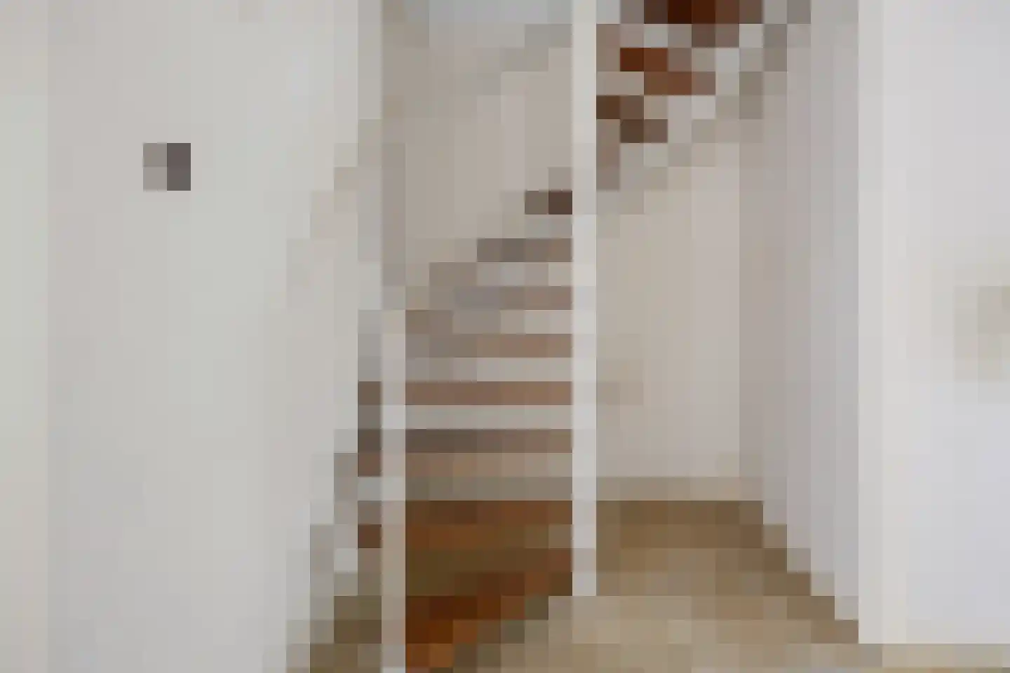 Praetoriussingel 5 Waalwijk thumbnail 16