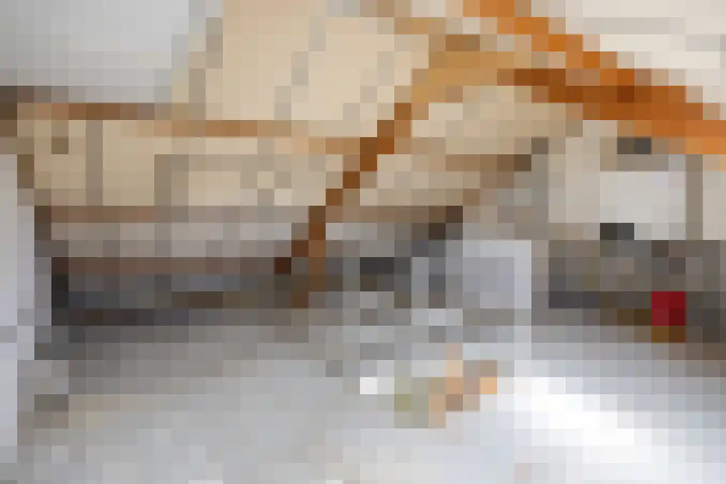 Praetoriussingel 5 Waalwijk thumbnail 28