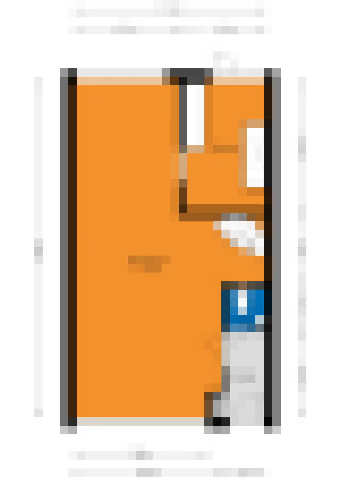 Praetoriussingel 5 Waalwijk thumbnail 37