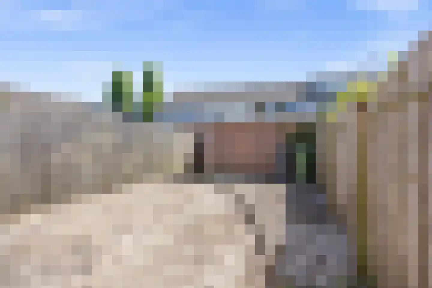 Praetoriussingel 5 Waalwijk thumbnail 4