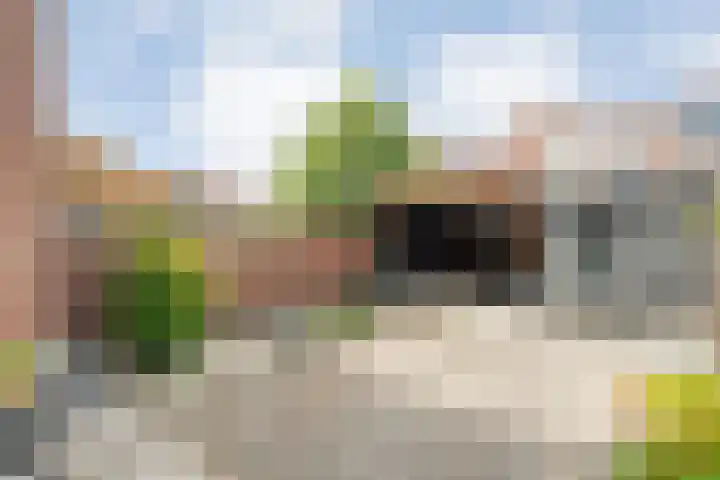 Praetoriusstraat 49 Zwolle thumbnail 16