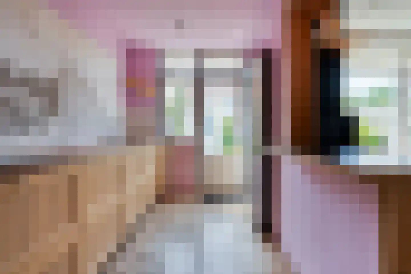 Praetoriusstraat 51 Zwolle thumbnail 15