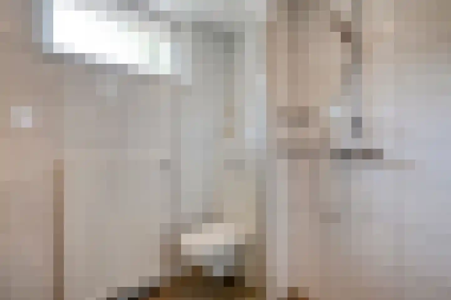 Praetoriusstraat 51 Zwolle thumbnail 25