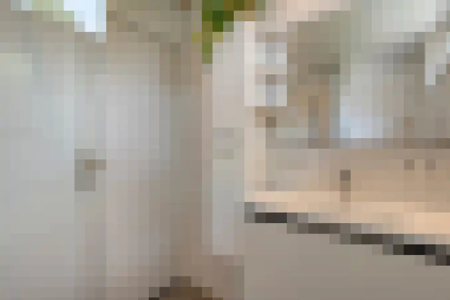 Praetoriusstraat 51 Zwolle thumbnail 26