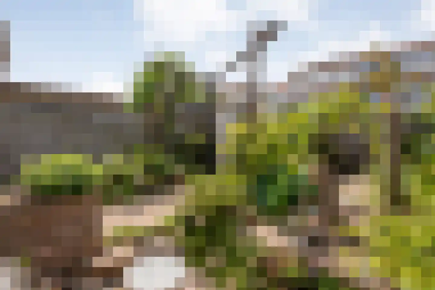 Praetoriusstraat 51 Zwolle thumbnail 38