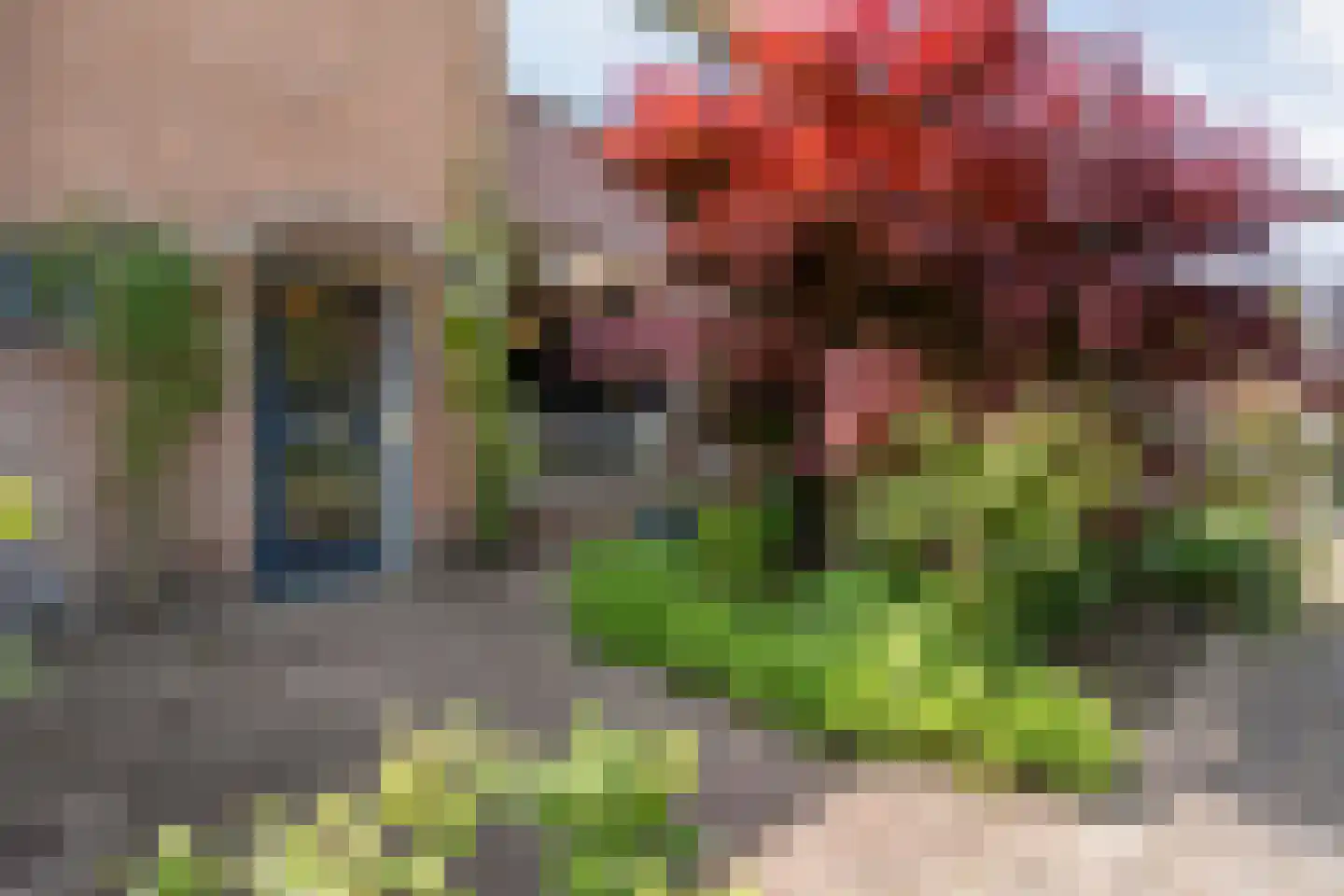 Praetoriusstraat 51 Zwolle thumbnail 41