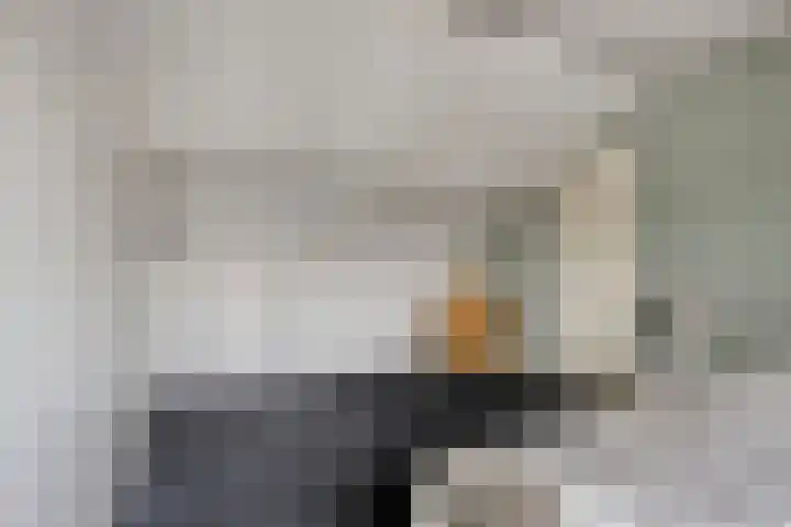 Praetoriusstraat 55 Zwolle thumbnail 24
