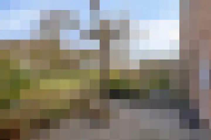 Praetoriusstraat 55 Zwolle thumbnail 37