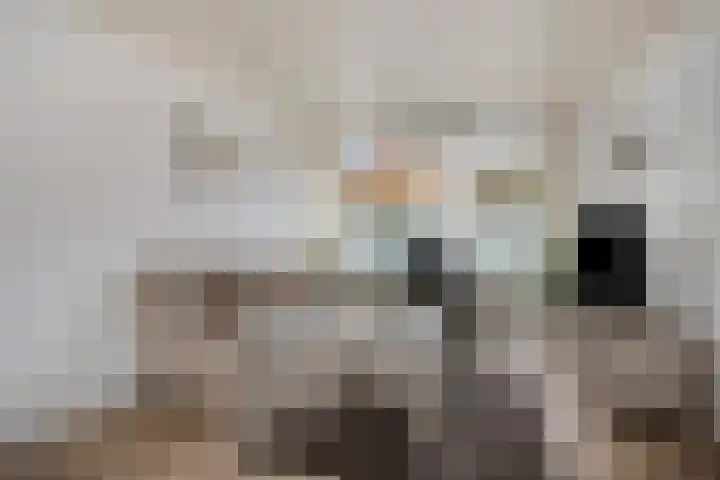 Praetoriusstraat 55 Zwolle thumbnail 4