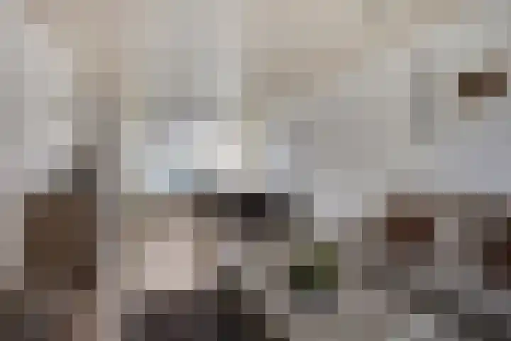 Praetoriusstraat 55 Zwolle thumbnail 5