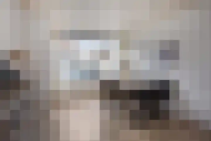 Praetoriusstraat 55 Zwolle thumbnail 6