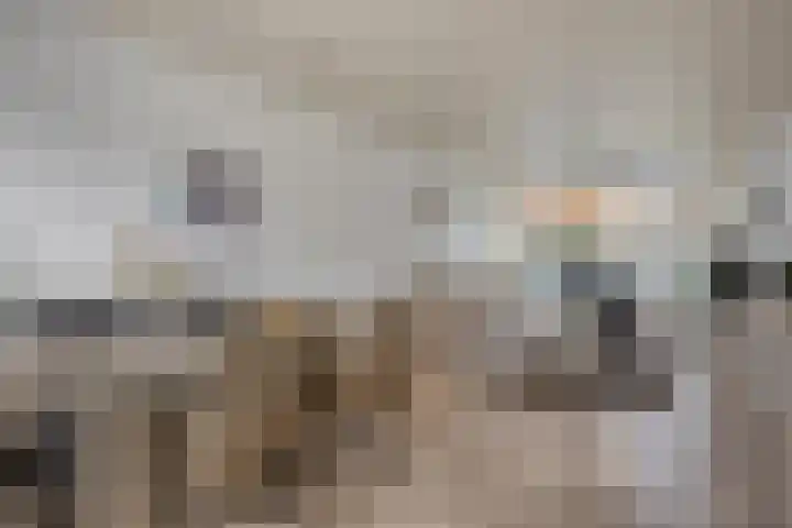 Praetoriusstraat 55 Zwolle thumbnail 7
