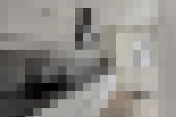 Praetoriusstraat 55 Zwolle thumbnail 8