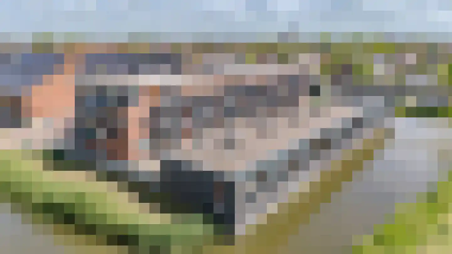 Prairievalk 14 Valkenburg thumbnail 6