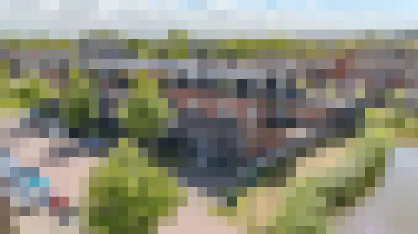 Prairievalk 14 Valkenburg thumbnail 7