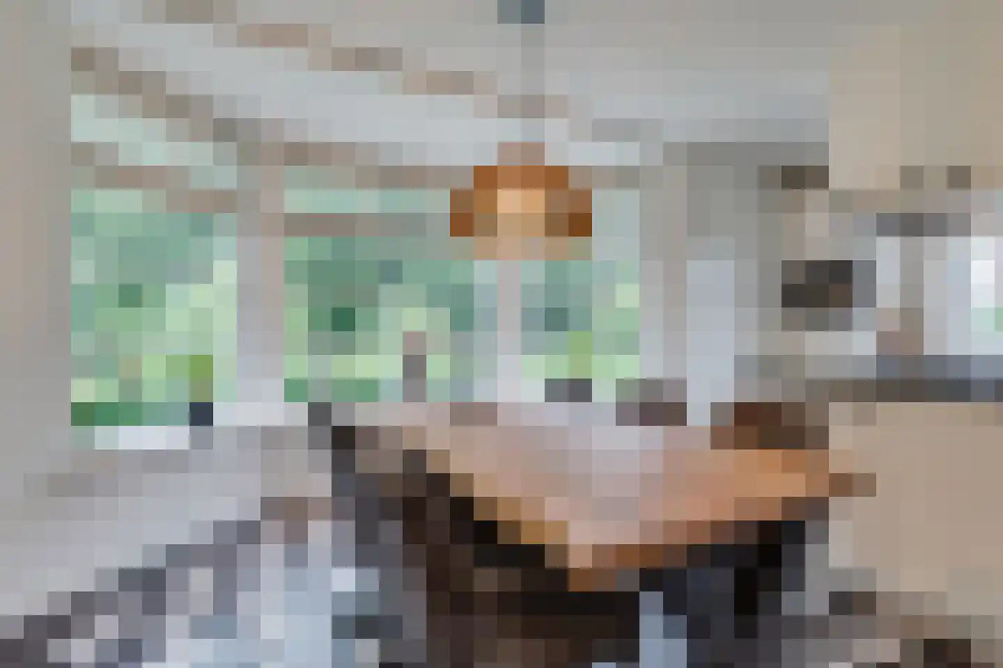 Prakkestraat 12 Eibergen thumbnail 13