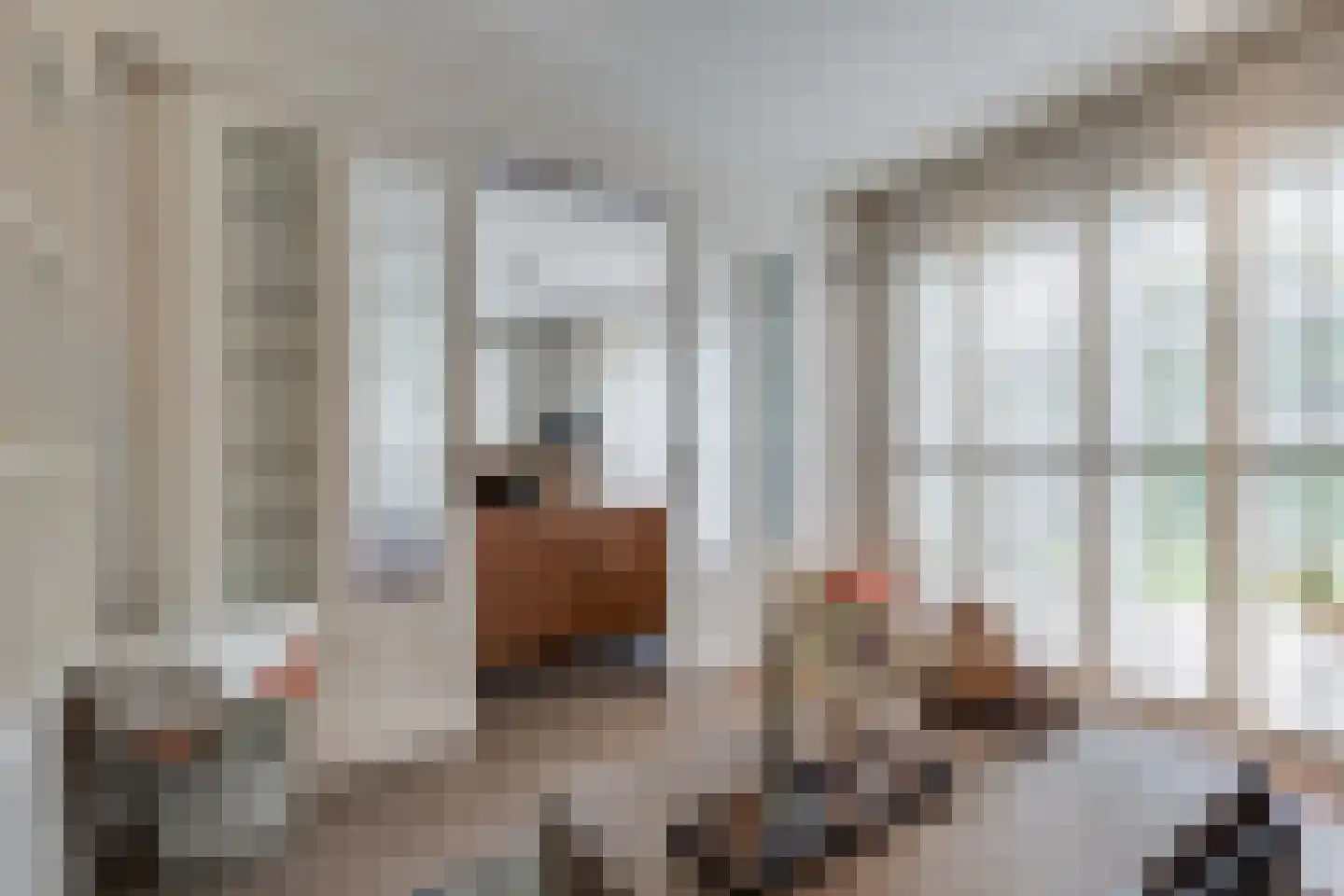 Prakkestraat 12 Eibergen thumbnail 18