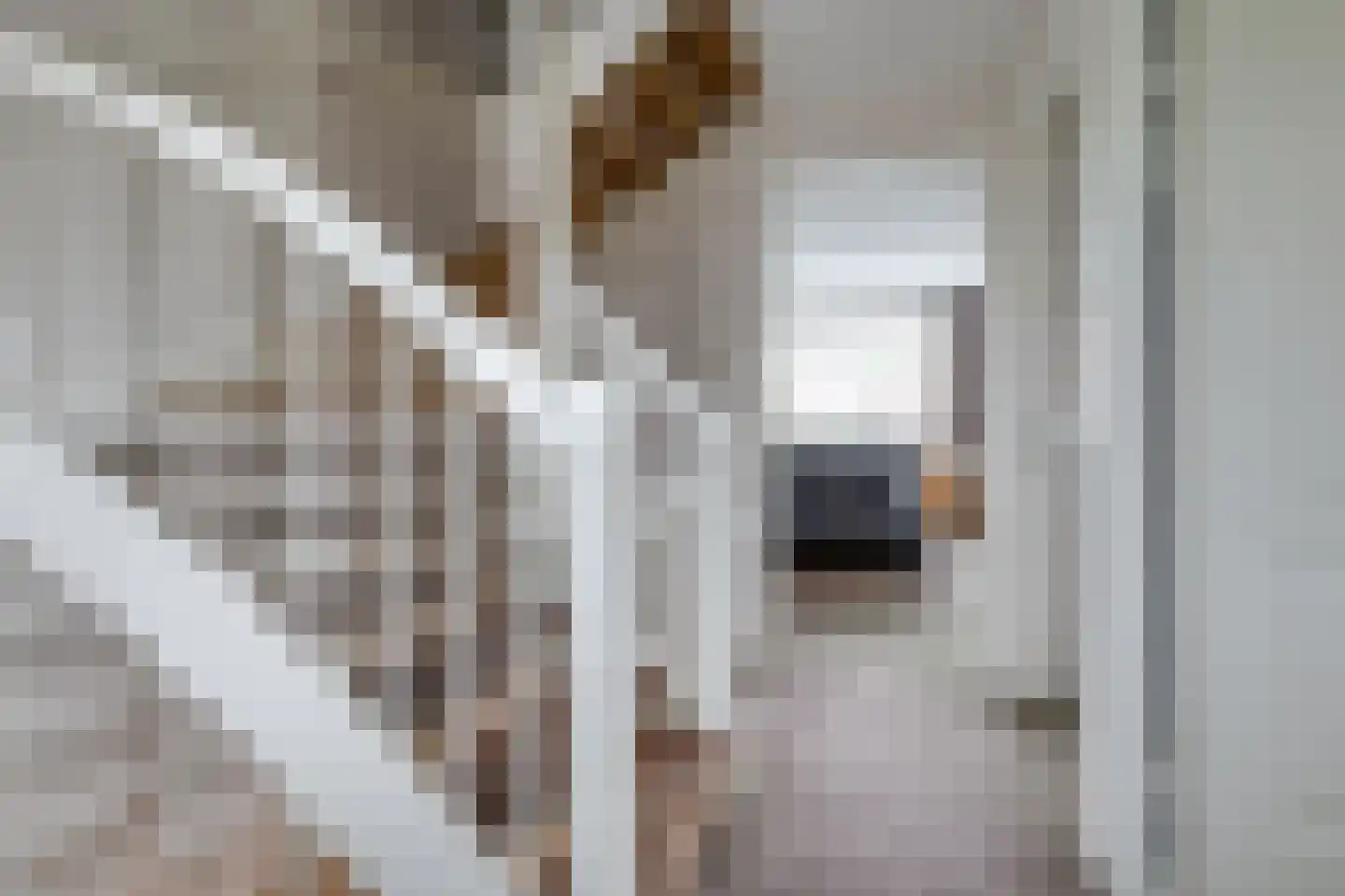 Prakkestraat 12 Eibergen thumbnail 27