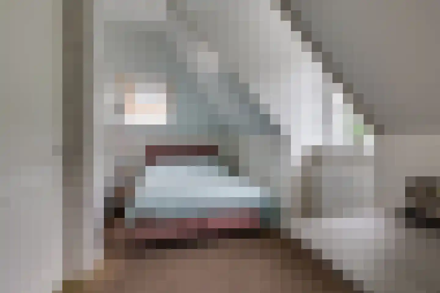 Prakkestraat 12 Eibergen thumbnail 38