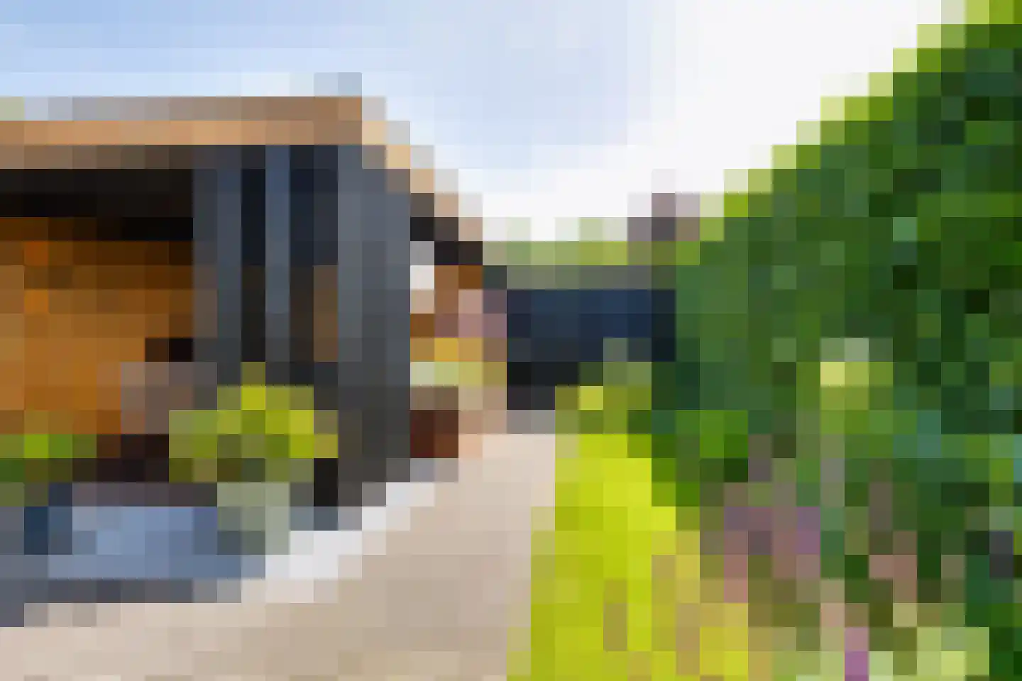 Prakkestraat 12 Eibergen thumbnail 44