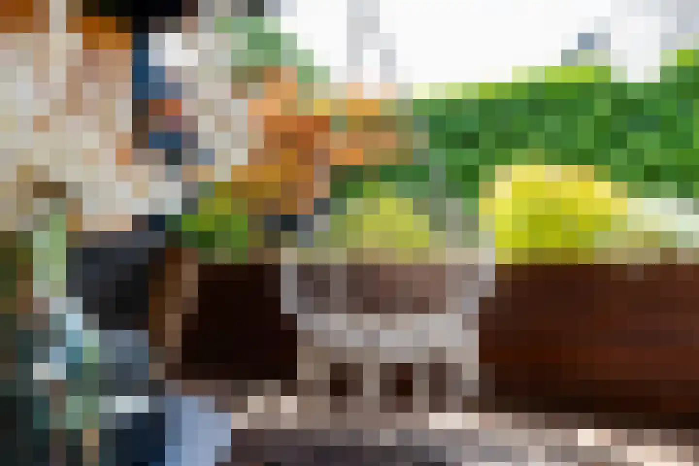 Prakkestraat 12 Eibergen thumbnail 46