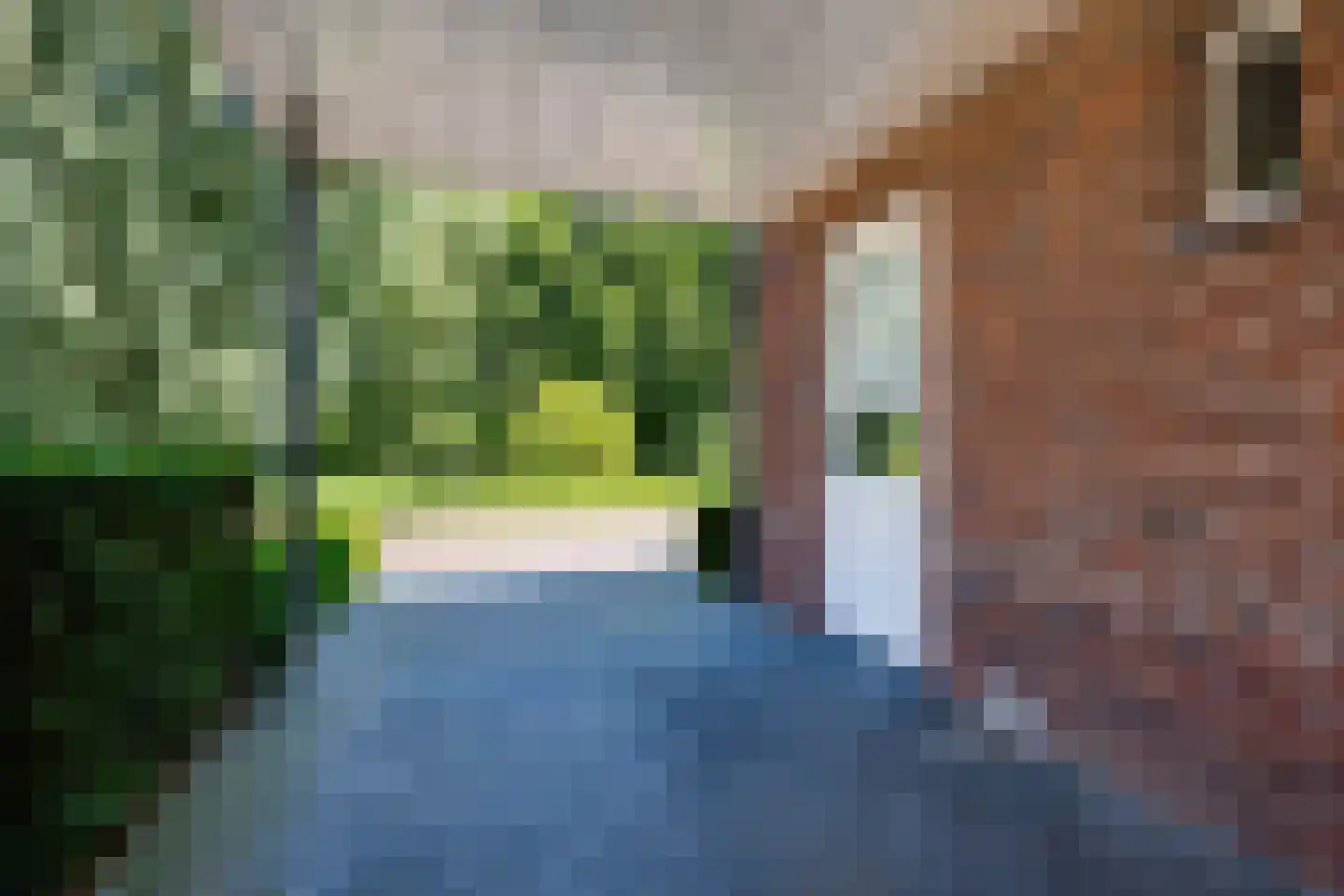 Prakkestraat 12 Eibergen thumbnail 52
