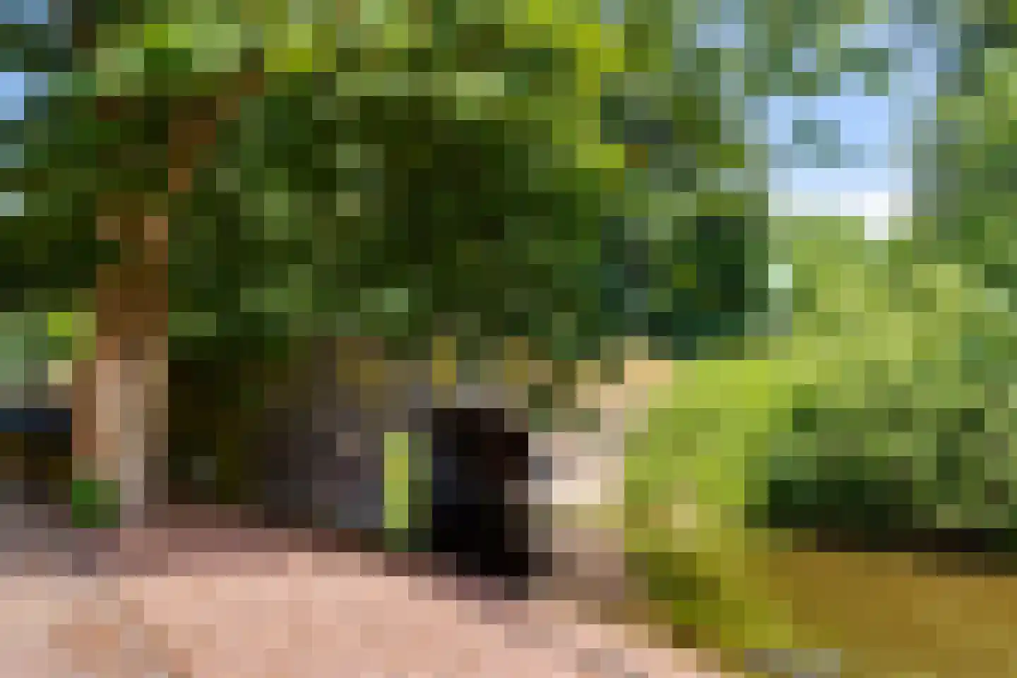 Prakkestraat 12 Eibergen thumbnail 54