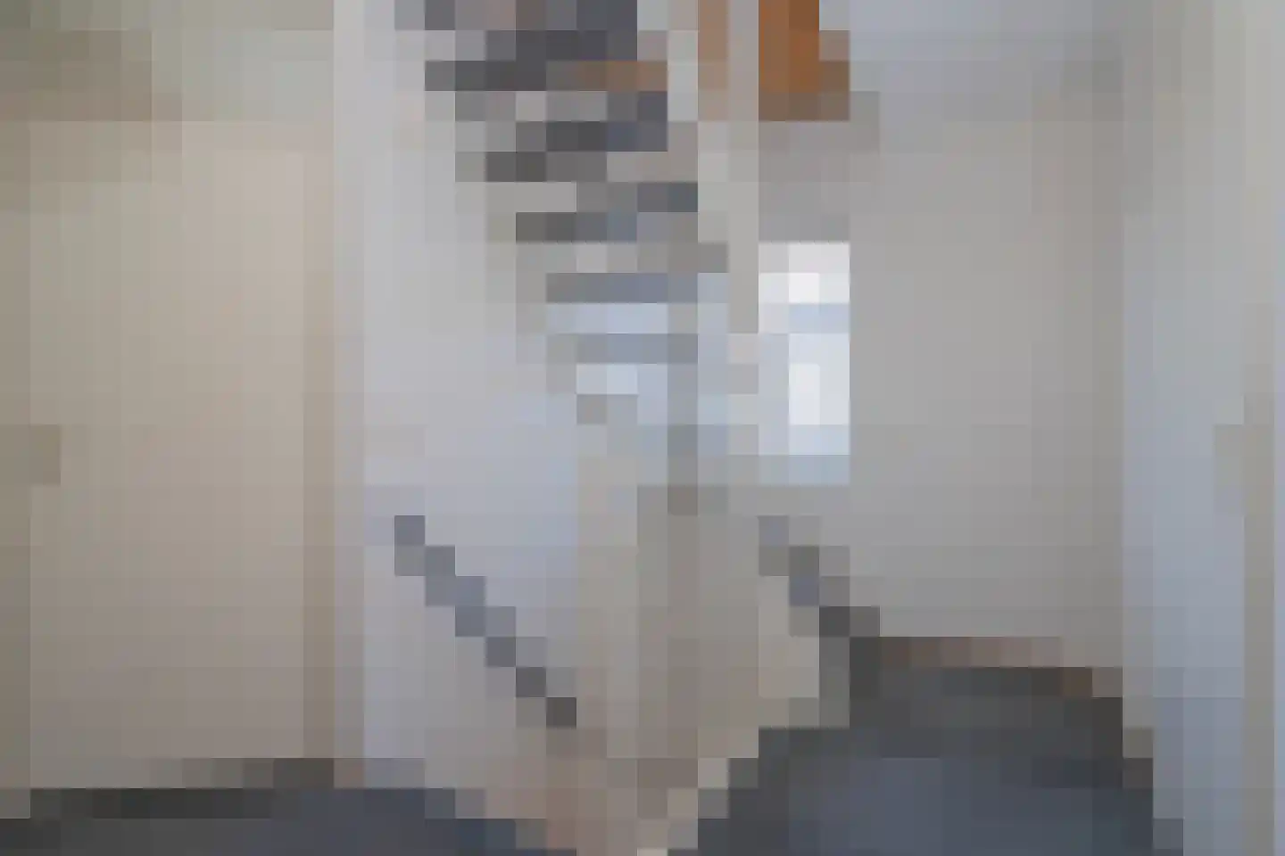 Prangelaar 1 Woudenberg thumbnail 23