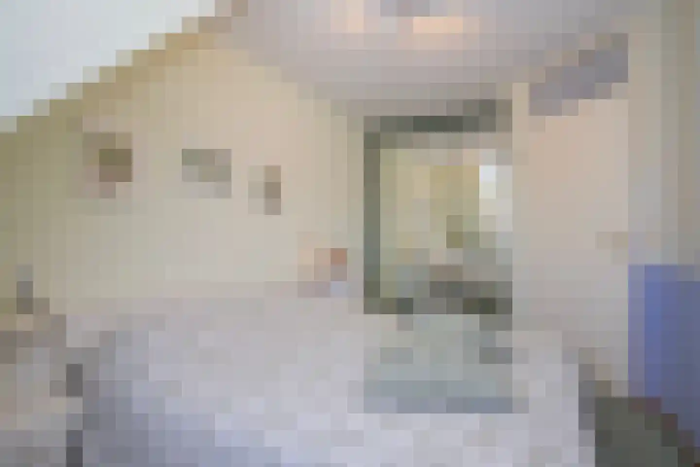 Prangelaar 1 Woudenberg thumbnail 26