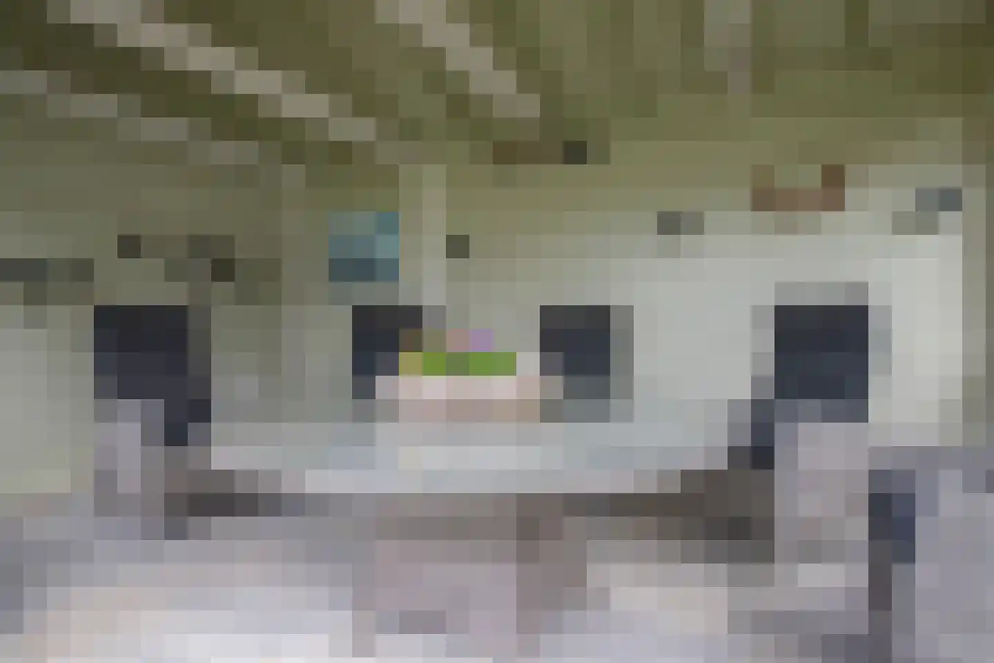 Prangelaar 1 Woudenberg thumbnail 44