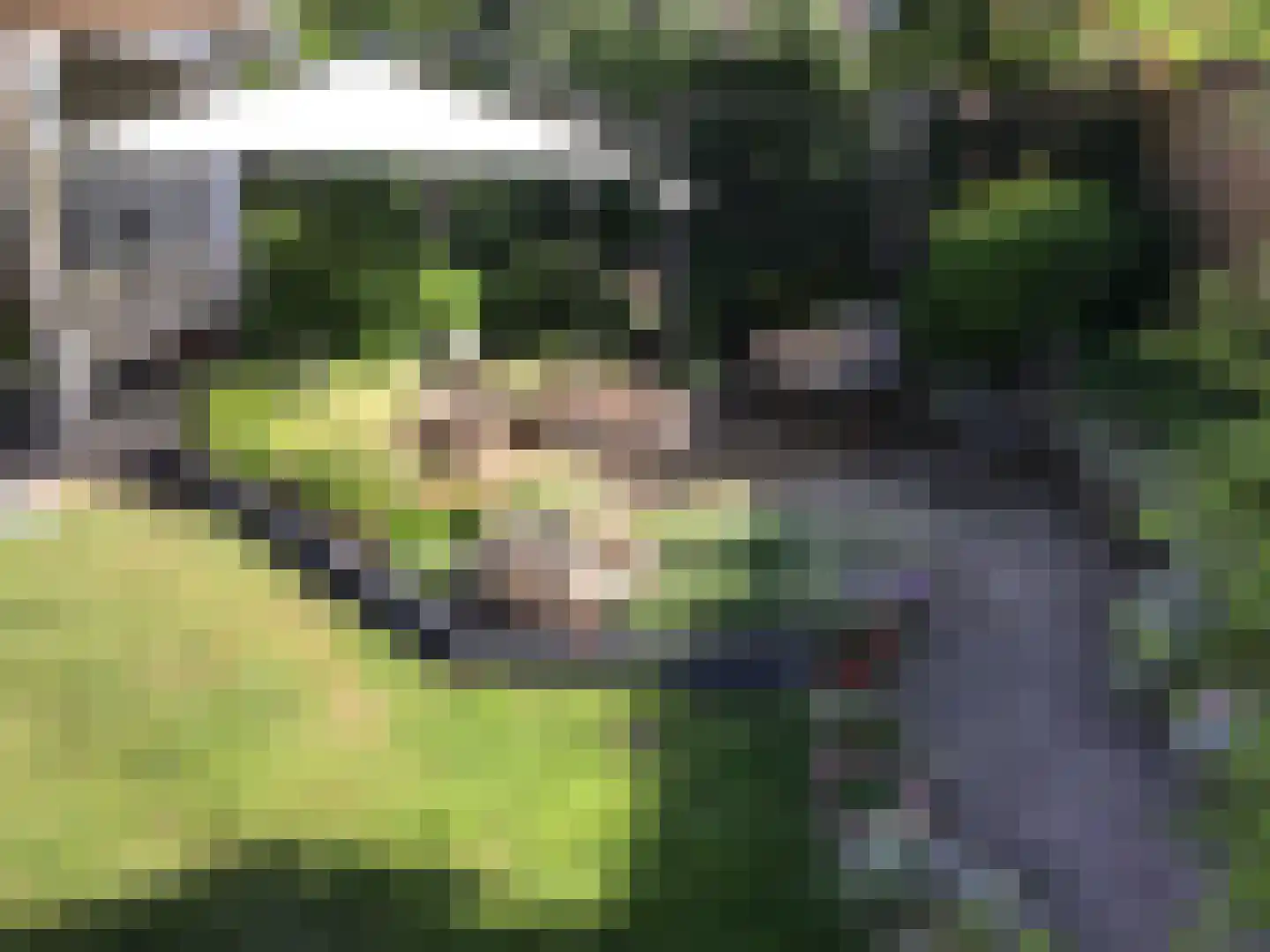 Prangelaar 1 Woudenberg thumbnail 49