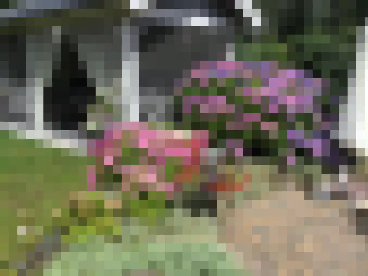 Prangelaar 1 Woudenberg thumbnail 51