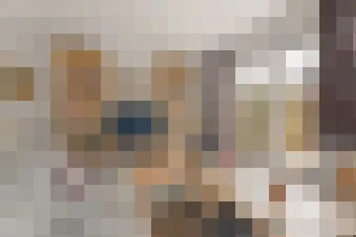 Prangelaar 14 Woudenberg thumbnail 10