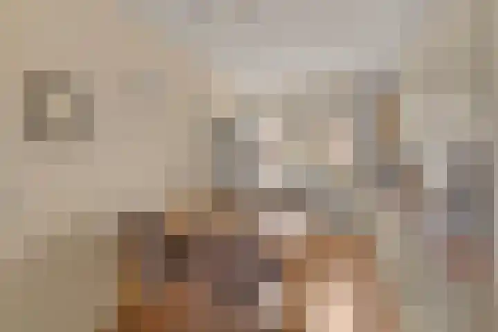 Prangelaar 14 Woudenberg thumbnail 12