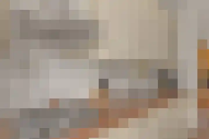 Prangelaar 14 Woudenberg thumbnail 14