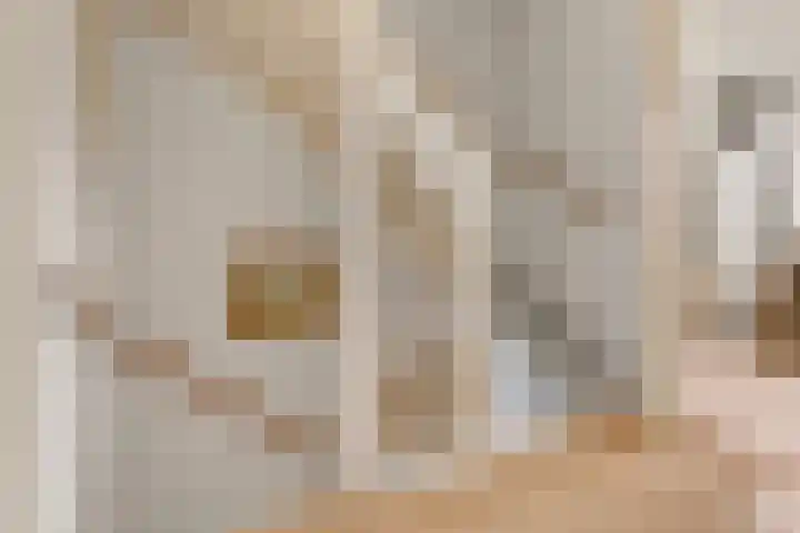 Prangelaar 14 Woudenberg thumbnail 16