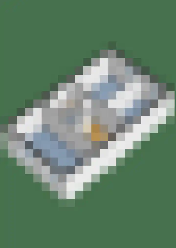 Prangelaar 14 Woudenberg thumbnail 36